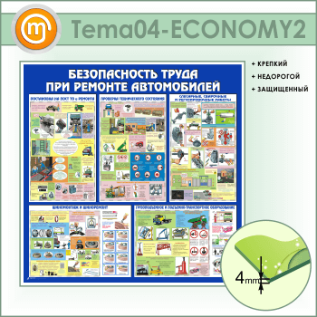       (TM-04-ECONOMY2)
